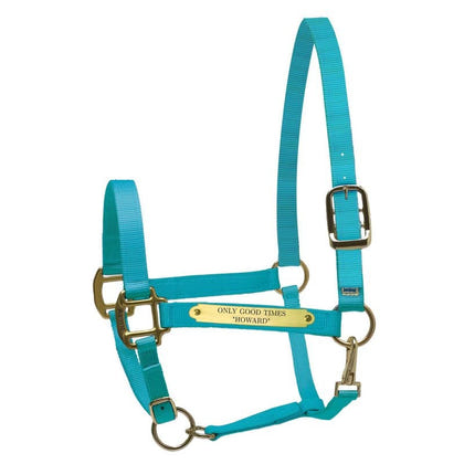 Perri's Personalized Nylon Super Halter