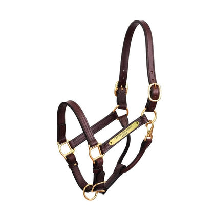 Perri's Personalized Premium 1" Show Halter