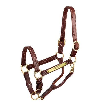 Perri's Personalized Premium 1" Show Halter