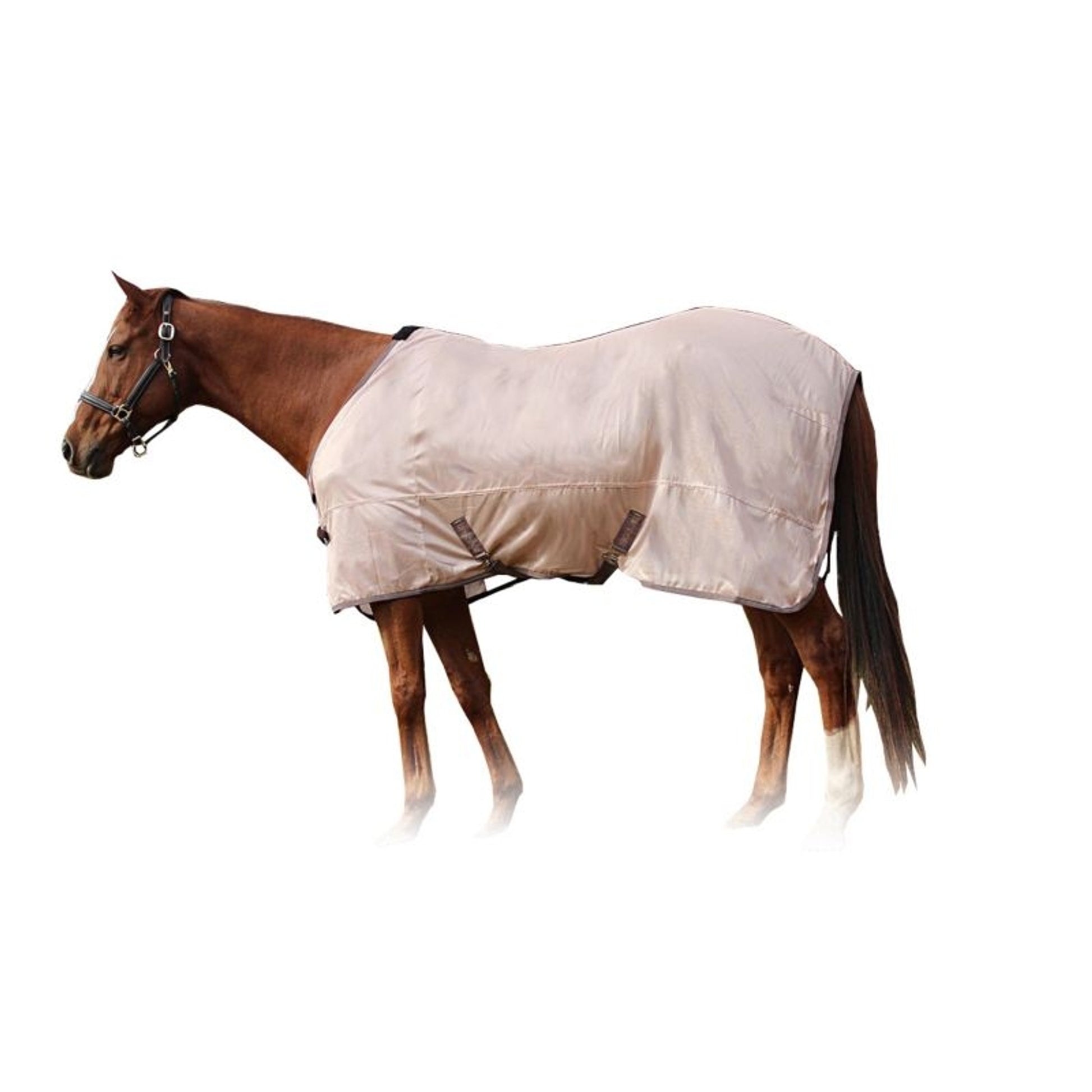 TuffRider Comfy Mesh Pony Fly Sheet