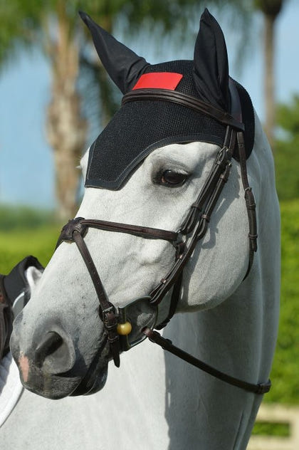 EquiFit HeadsUp Ear Bonnet