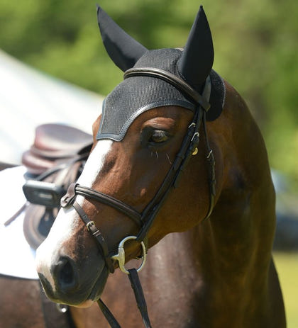 EquiFit SilentFit HeadsUp Bonnet