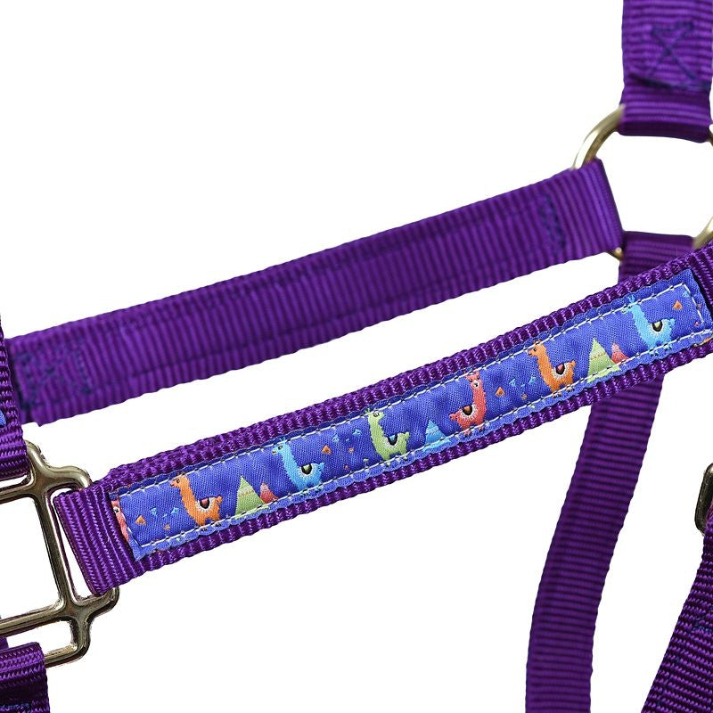 Perris Ribbon Safety Halter