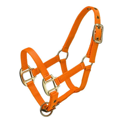 Ozark Mini Nylon Halter