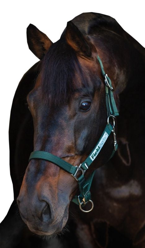 Rambo FIELDSAFE Safety Halter
