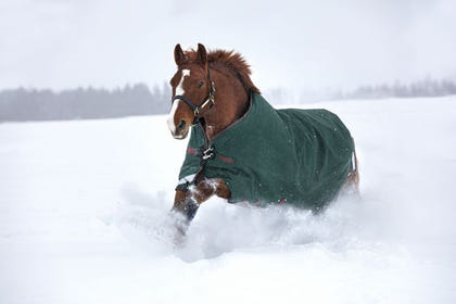 Rambo Original Arch Blanket 100g
