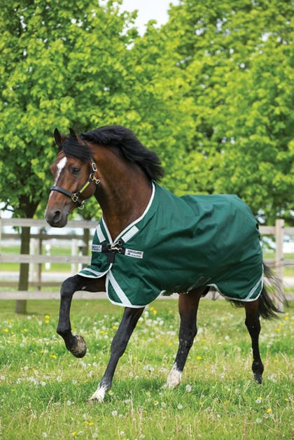 Rambo Original Arch Blanket 400g