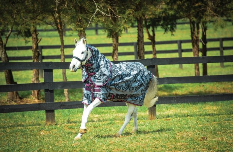 Amigo Pony Plus Turnout Medium 200g
