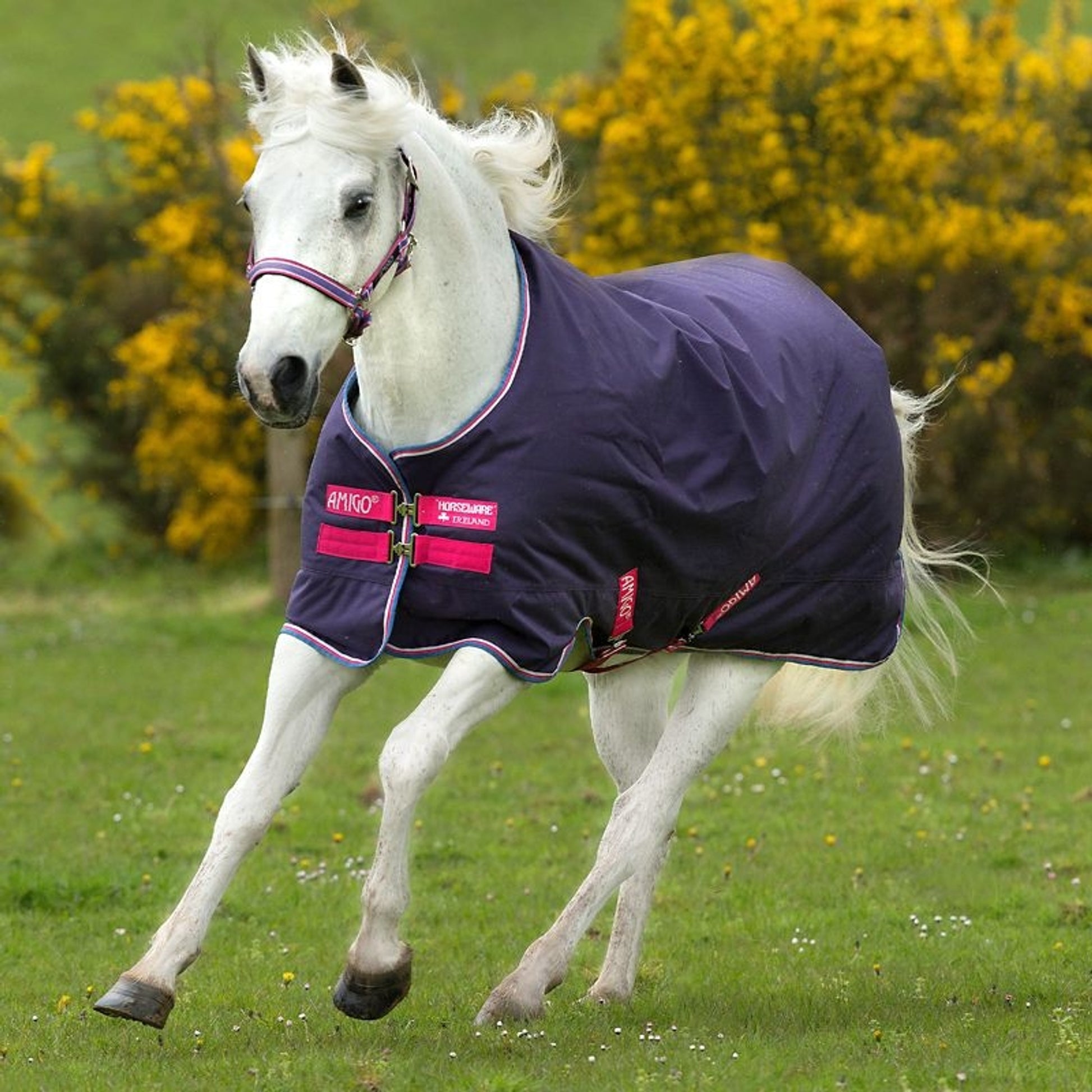 Amigo Hero 900 Pony Turnout Lite