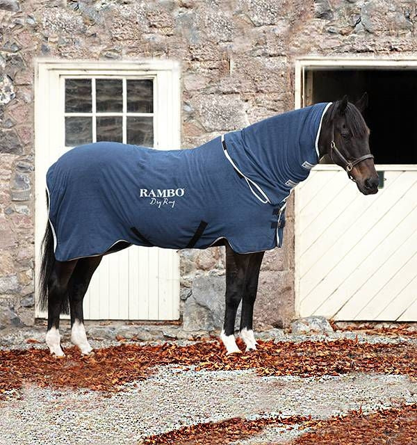 Rambo Dry Rug
