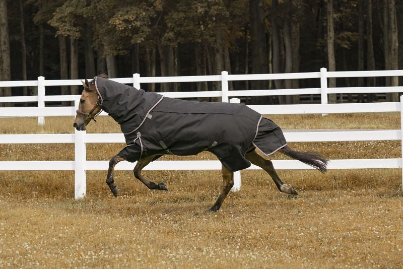 TuffRider All Seasons Blanket