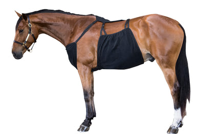 WikSmart Premium Cooler