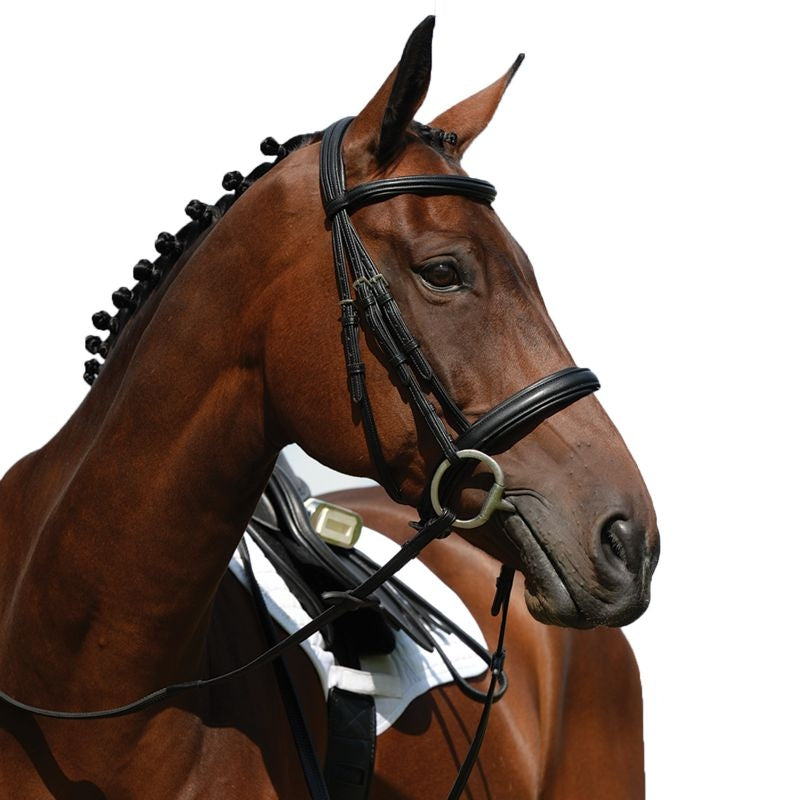 Collegiate Syntovia Cavesson Bridle