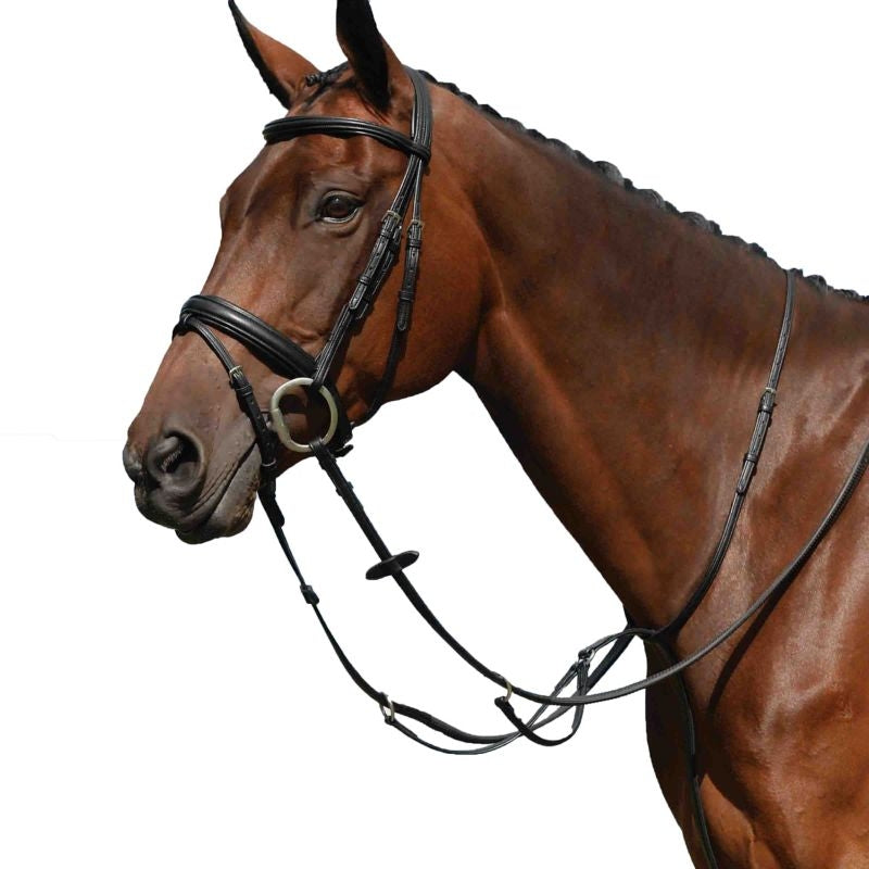 Collegiate Syntovia Martingale