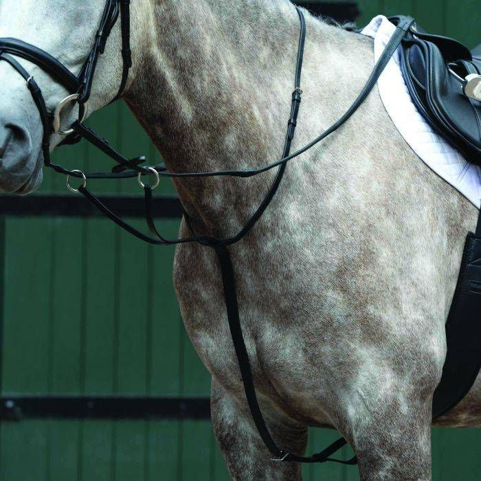 Collegiate Essential Flat Martingale