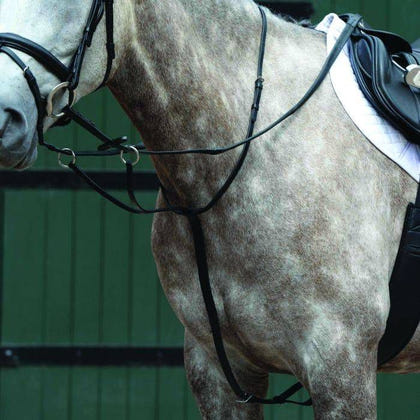 Collegiate Essential Flat Martingale