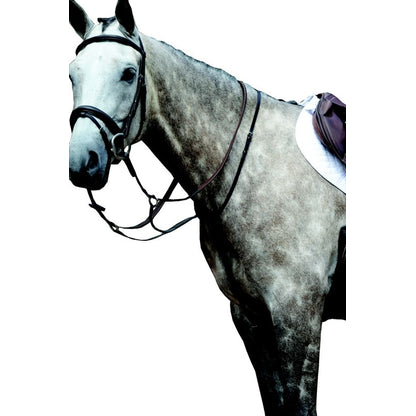 Collegiate Essential Flat Martingale
