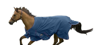 TE033071_869654_WO.jpg
