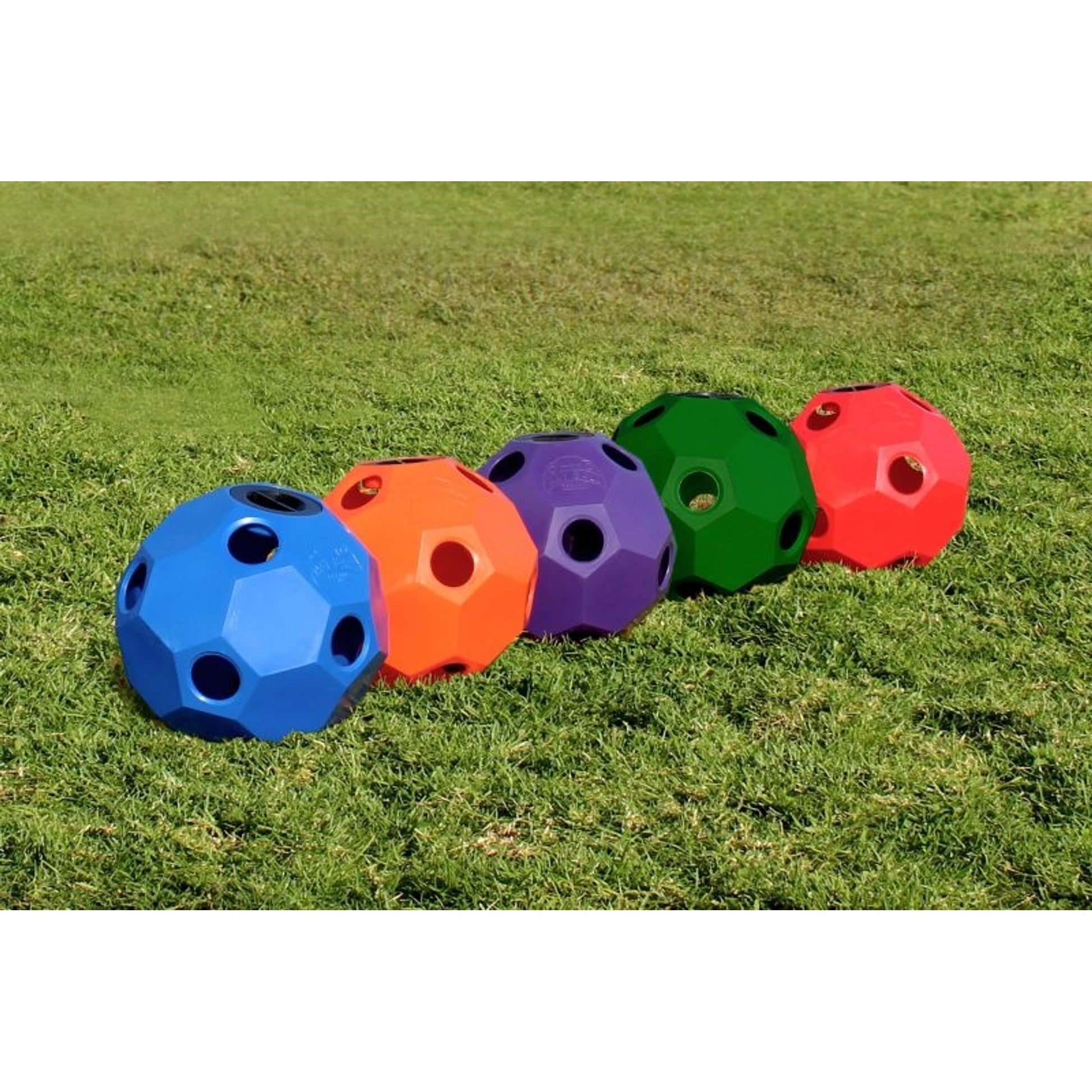Slow Feed Hay Ball Feeder