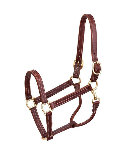 Perris Professional Show Halter