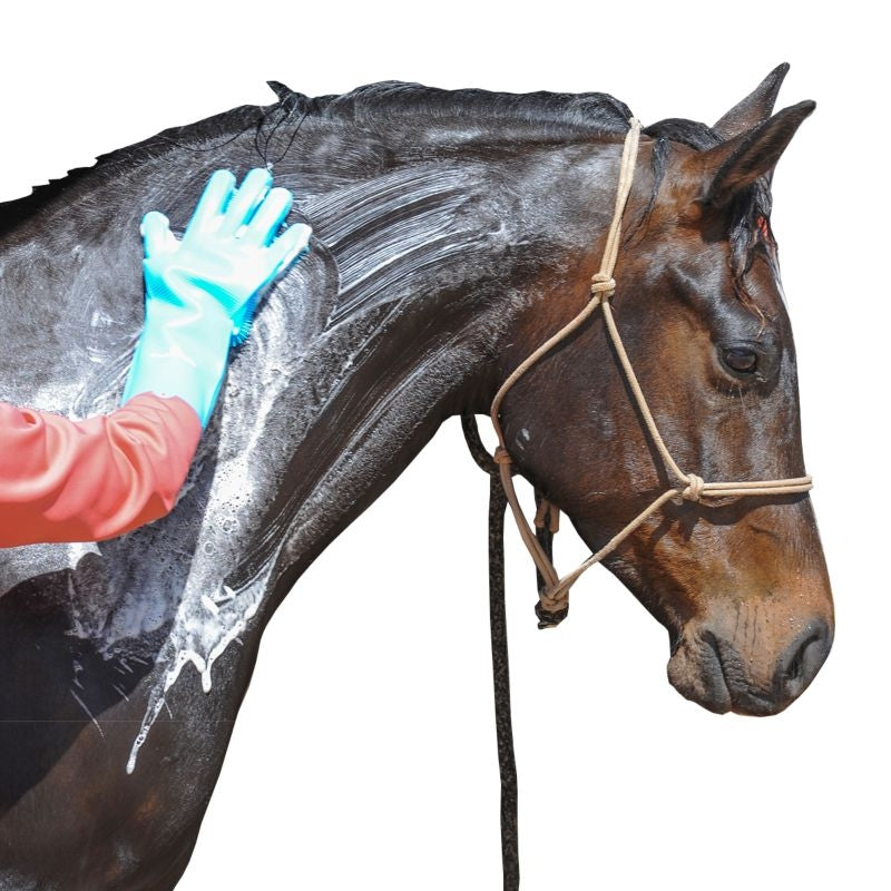 Classic Equine Grooming Wash Gloves