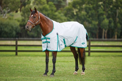 Weatherbeeta Green-Tec 900D Standard Neck Lite Plus