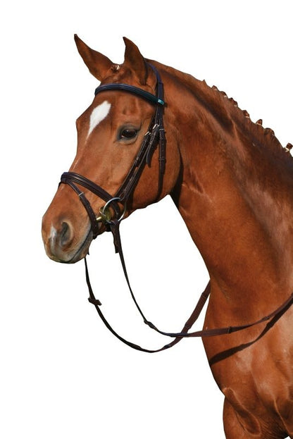 Stubben RFS Leitrim Bridle