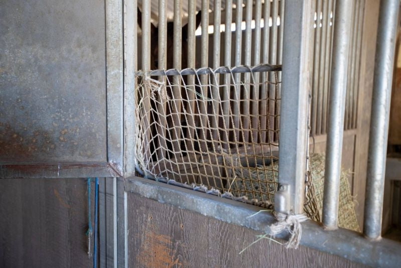 Freedom Feeder Adjustable Frame