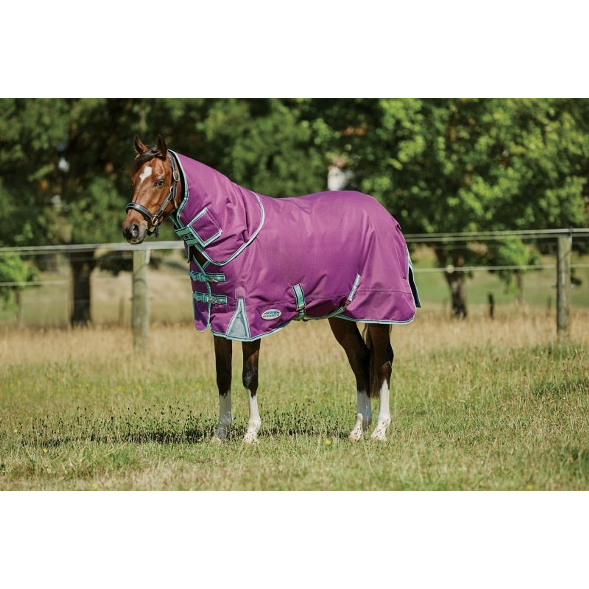 Weatherbeeta ComFiTec Premier Freedom Pony Detach-A-Neck Medium Turnout
