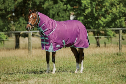 Weatherbeeta ComFiTec Premier Freedom Pony Detach-A-Neck Medium Turnout