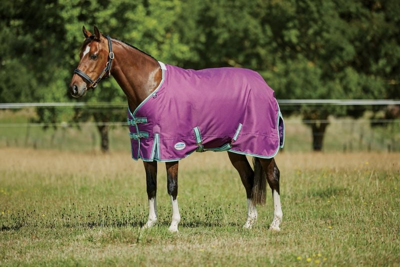 Weatherbeeta ComFiTec Premier Freedom Pony Standard Neck Medium Turnout
