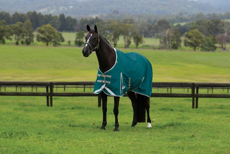 WeatherBeeta Plus Std Neck Lite TO