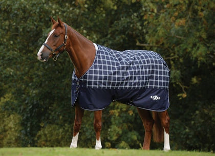 Saxon Defiant 600D Blanket Medium