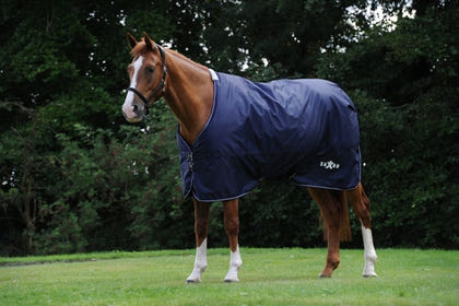 Saxon Defiant 600D Blanket Medium