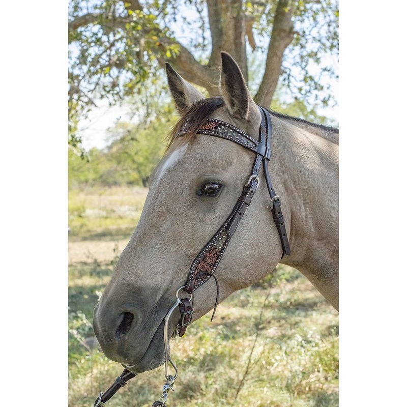 Circle Y Dark Flash AZ Flower Browband Headstall
