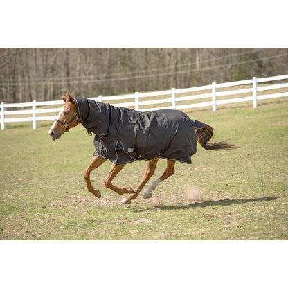 TuffRider 600D Comfy Combo Neck Blanket Medium
