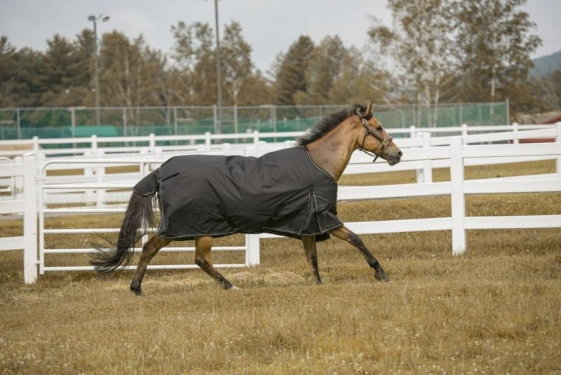 TuffRider 600D Comfy Standard Neck Sheet