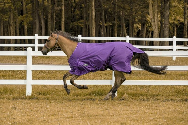 TuffRider 600D Comfy Standard Neck Sheet