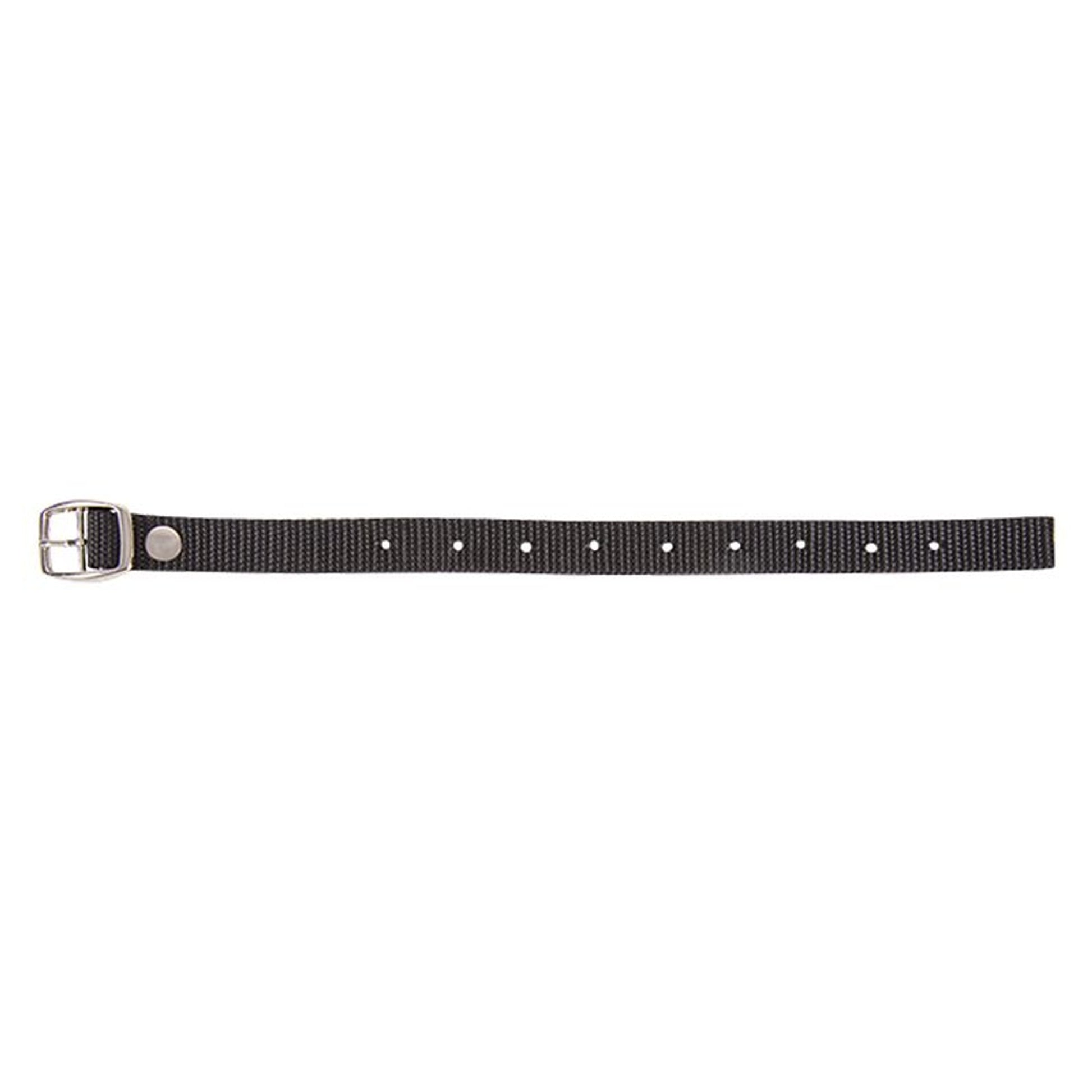 Cashel Saddle Bag Hobble Strap