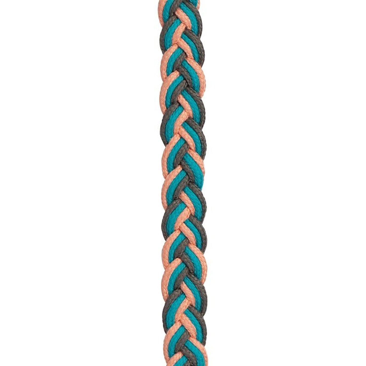 TE034690_914685_04.jpg