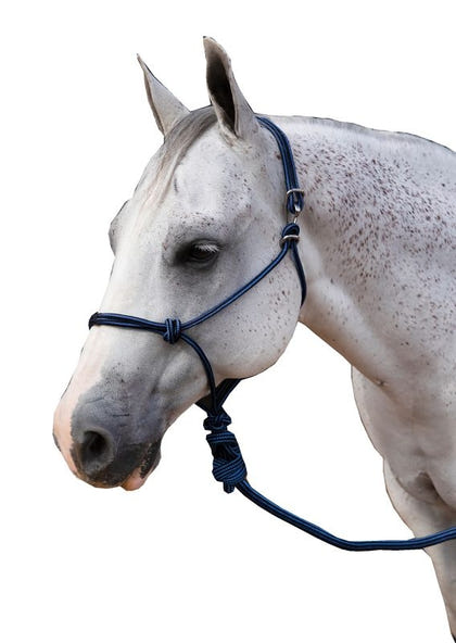 Professionals Choice Easy On Rope Halter with Lead