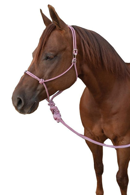 Professionals Choice Easy On Rope Halter with Lead