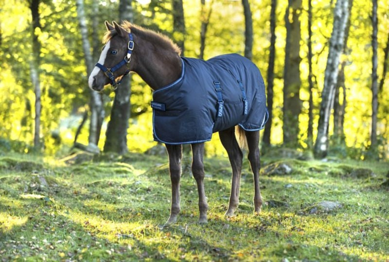 Amigo Foal Ripstop 200g Turnout Blanket