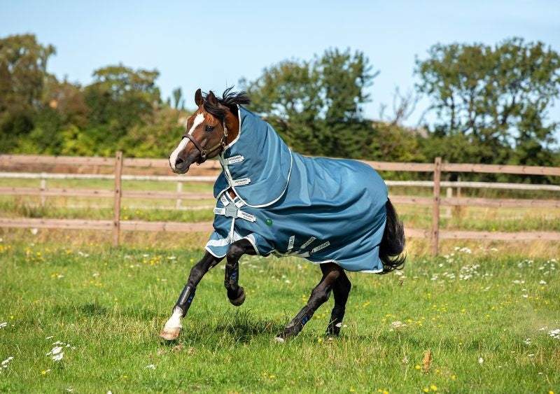 AmEco Bravo 12 Plus Turnout Sheet
