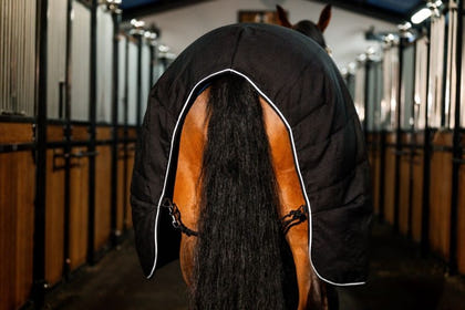 Rambo Stable Blanket 200g