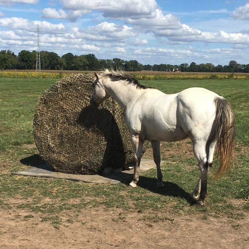 Tough1 4x5 Round Bale Net 2.5 x 2.5 Openings