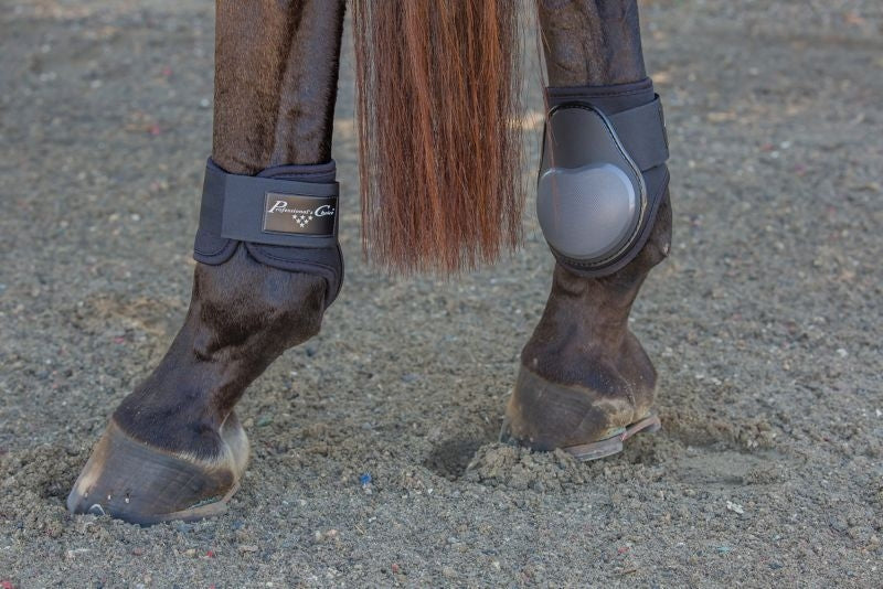 Pro Choice Pro Performance Fetlock Boots