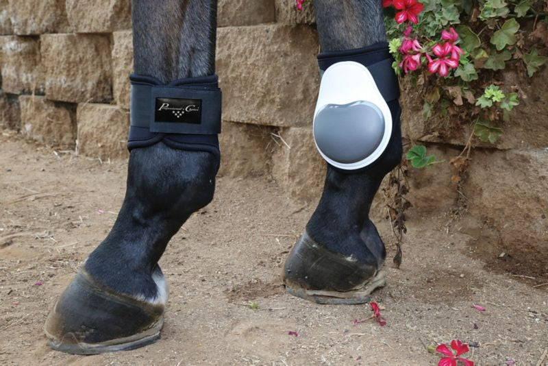 Pro Choice Pro Performance Fetlock Boots