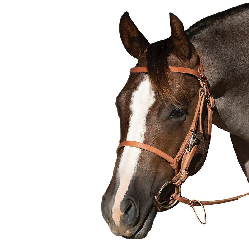 Professionals Choice Shuz Trail Bridle