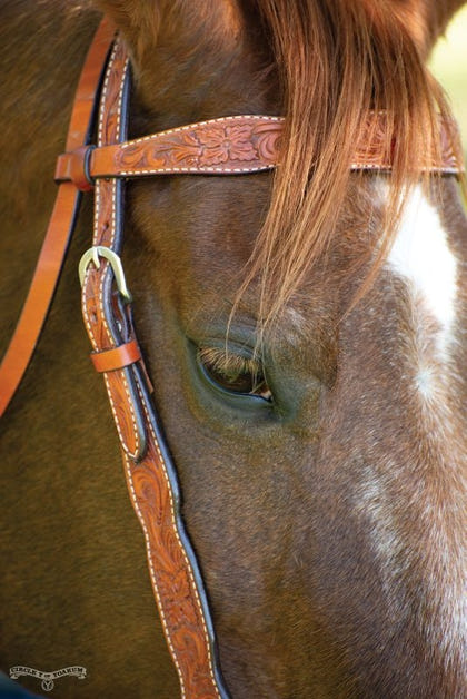 Circle Y Shaped Floral Brow Headstall